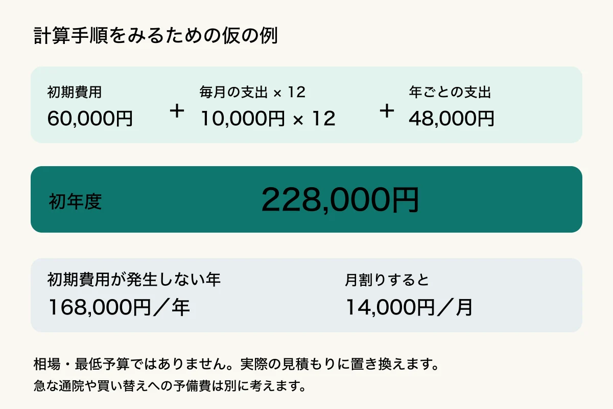 仮の初期費用6万円、毎月1万円、年ごと4万8千円を合計し、初年度22万8千円とする計算例