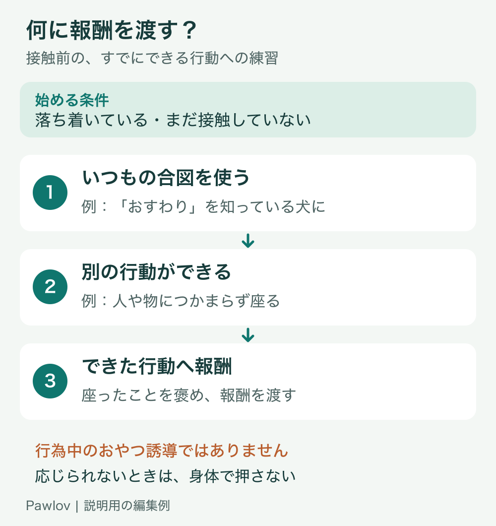 接触前の落ち着いた場面で既知の合図を使い、別の行動ができてから、その行動へ報酬を渡す順序