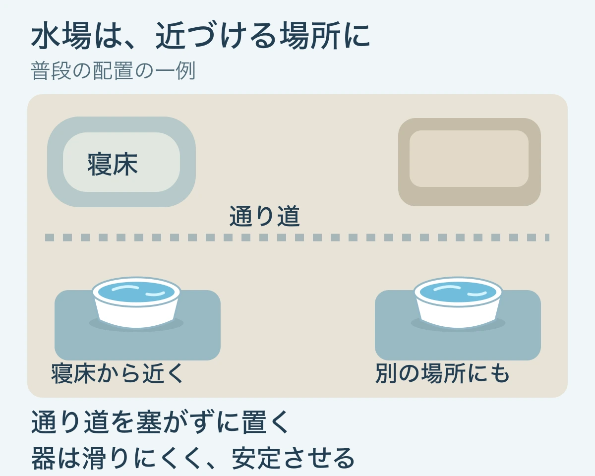 室内の寝床から近づける水場と別の水場を、通り道を塞がずに置く配置例。器は滑りにくい敷物に載せ、寝床には置かない