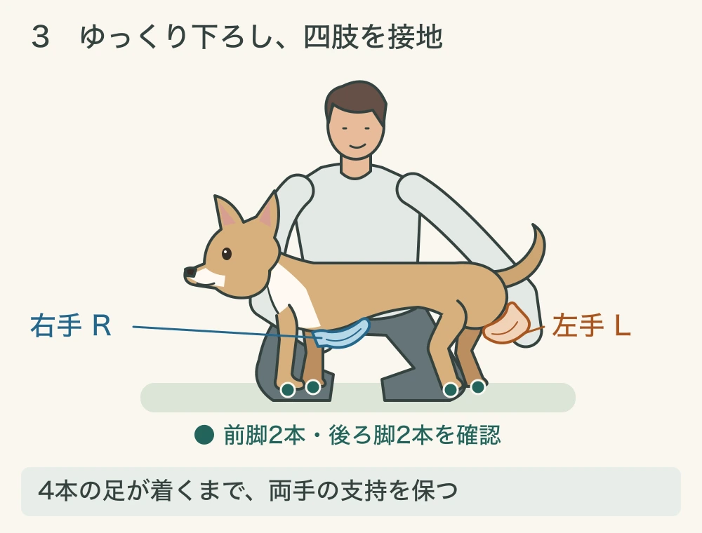 3コマ目。四肢が床に着いた位置でも、右手Rが胸、左手Lが骨盤側を支え続けている