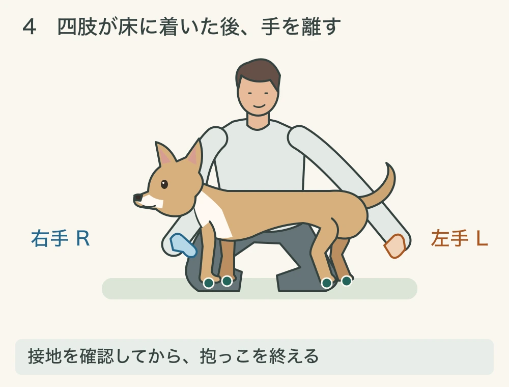4コマ目。犬の四肢が床についたまま、右手Rと左手Lが体から離れている