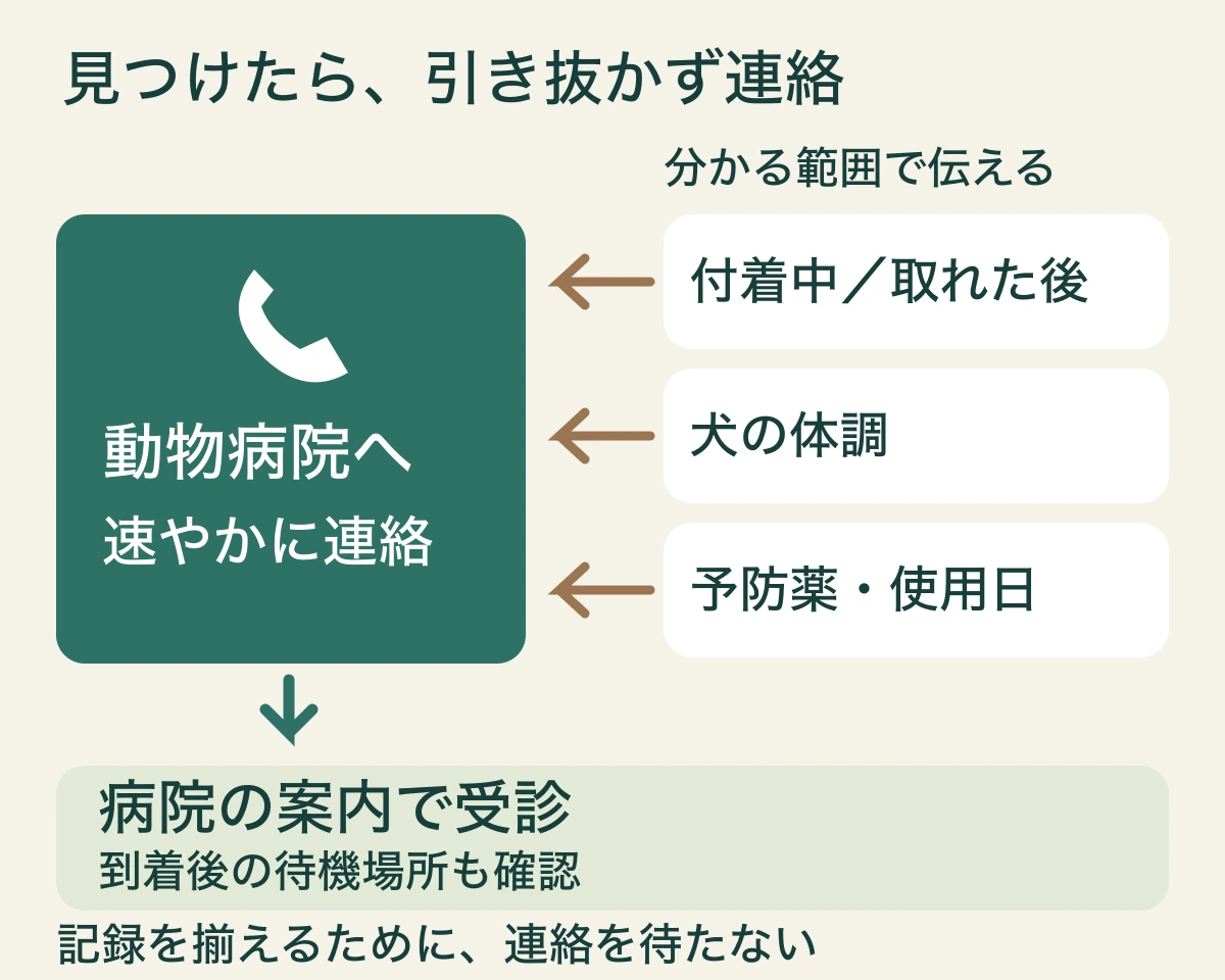 自分で引き抜かず、速やかに動物病院へ連絡し、来院方法を確認する順序。記録は分かる範囲でよい