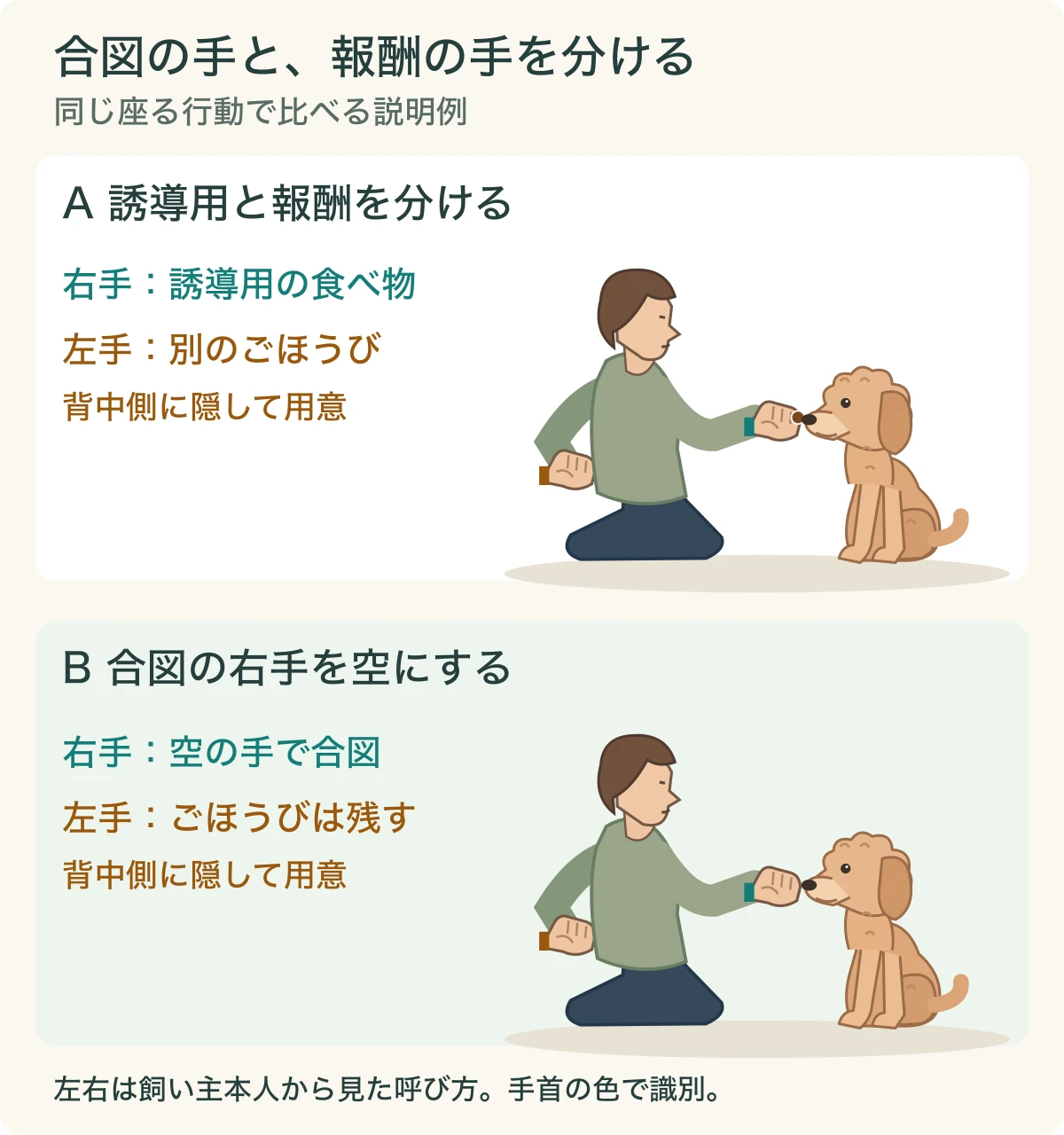 右手に誘導用の食べ物を持つ例と、同じ右手を空にする例。どちらも行動後の報酬は背中側の左手に用意している