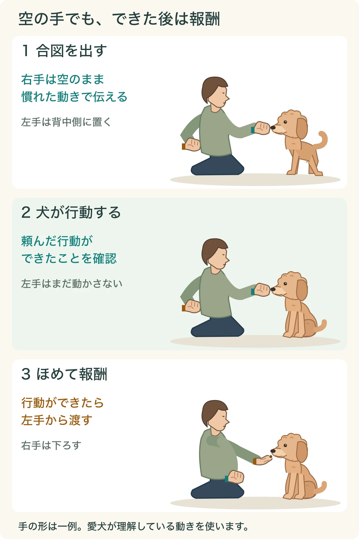 空の右手の合図、犬が座る、左手から口元へ報酬を渡す順。報酬を持つ左手は座るまで背中側にある