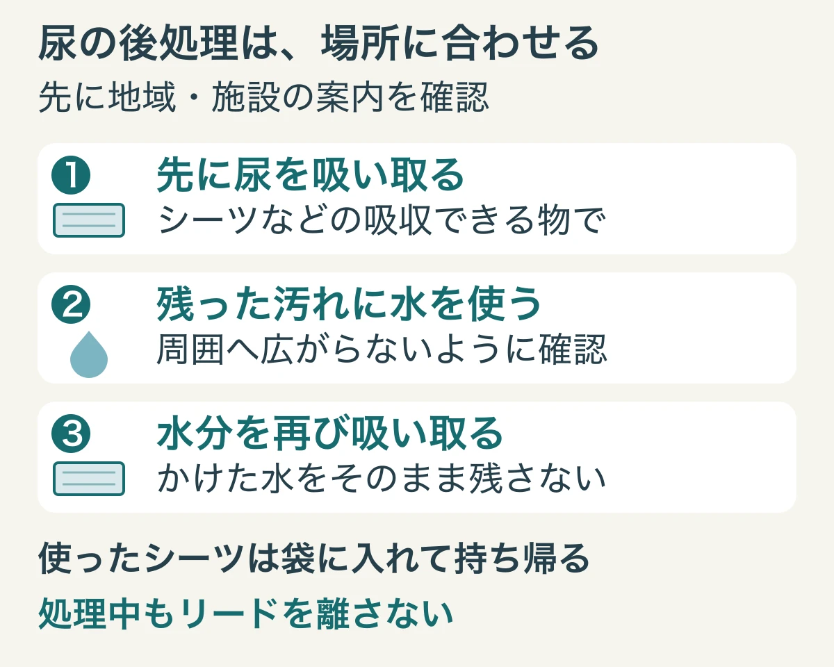 地域や施設の案内を確認し、尿を吸い取る、水を使う、水分を吸い取る順で処理し、シーツを持ち帰る図