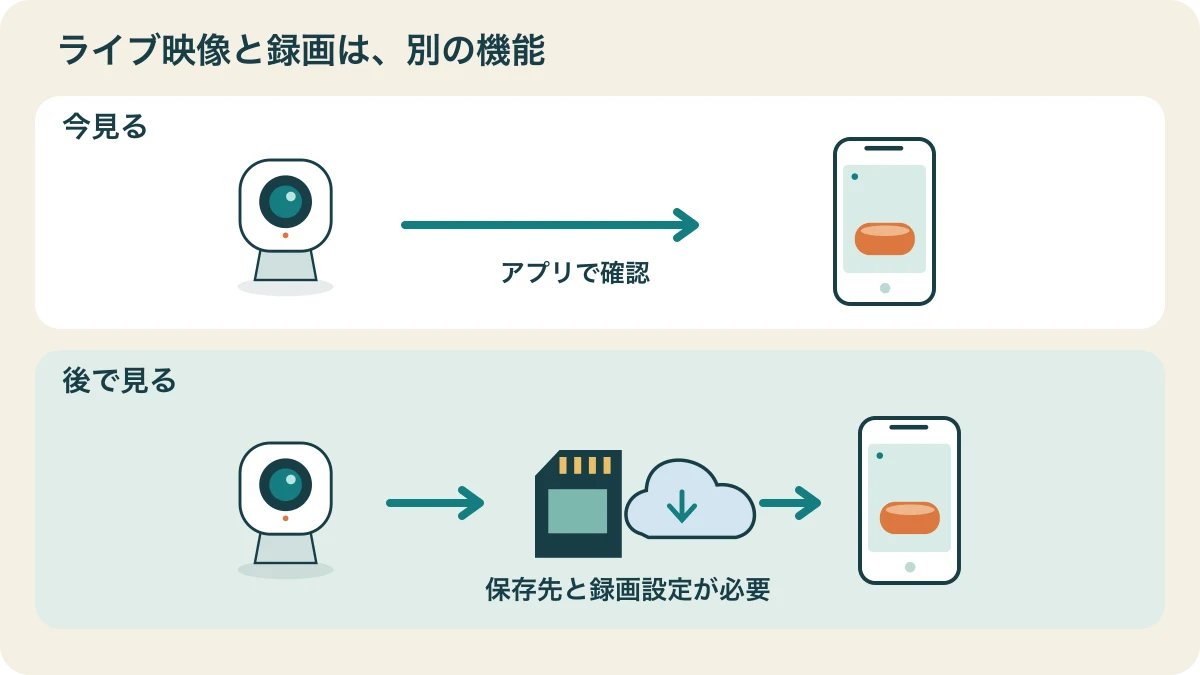 今見る場合はカメラからスマートフォンへ、後で見る場合はカメラから保存先を経てスマートフォンへ進む二つの経路