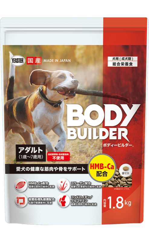 ボディービルダー アダルトのパッケージ